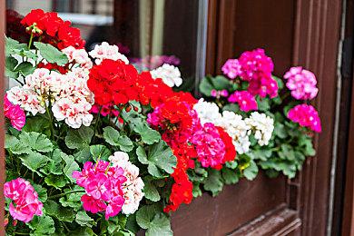 开放世界游戏《幻塔》新预告 海外版已推出